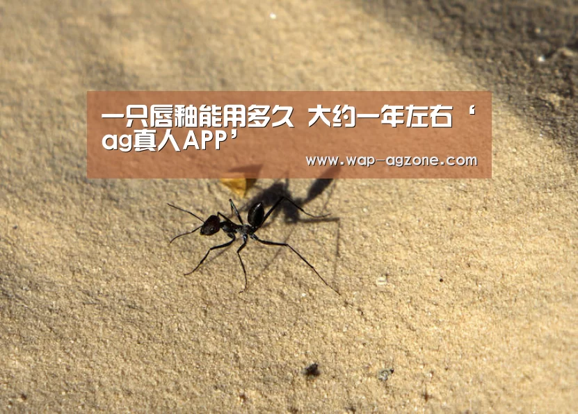 一只唇釉能用多久 大约一年左右‘ag真人APP’(图1) AG真人互动