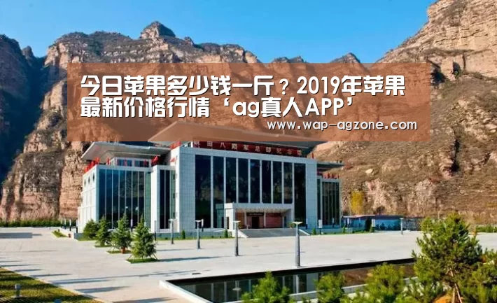今日苹果多少钱一斤?2019年苹果最新价格行情‘ag真人APP’(图1) ag真人APP