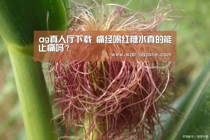 ag真人厅下载_痛经喝红糖水真的能止痛吗?(图4) ag真人厅下载
