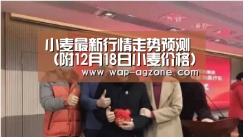 小麦最新行情走势预测(附12月18日小麦价格):AG真人互动(图1) ag真人厅下载