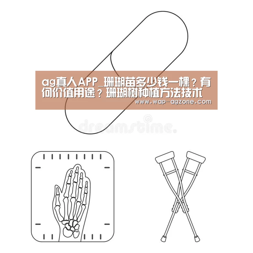 ag真人APP_珊瑚苗多少钱一棵?有何价值用途?珊瑚树种植方法技术(图4) ag真人厅下载