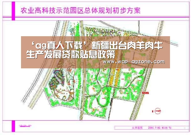 ‘ag真人下载’新疆出台肉羊肉牛生产发展贷款贴息政策(图3) AG真人互动