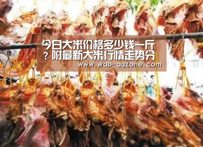 今日大米价格多少钱一斤?附最新大米行情走势分析‘ag真人厅下载’(图3) AG真人互动