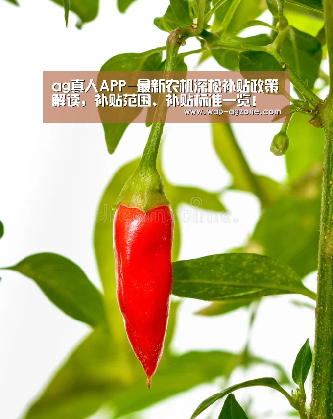 ag真人APP-最新农机深松补贴政策解读,补贴范围、补贴标准一览!(图1) ag真人下载