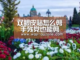 双眼皮贴怎么剪 手残党也能剪出不着痕迹双眼皮贴‘AG真人互动’(图3) ag真人APP