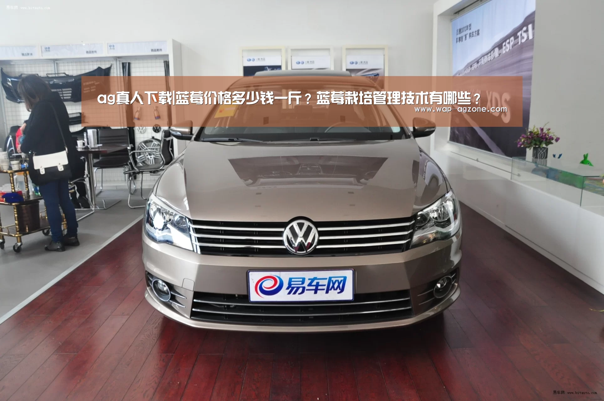 ag真人下载|蓝莓价格多少钱一斤?蓝莓栽培管理技术有哪些?(图1) AG真人互动
