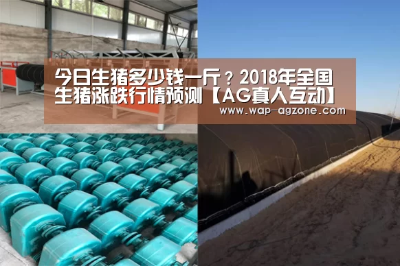 今日生猪多少钱一斤?2018年全国生猪涨跌行情预测【AG真人互动】(图1) ag真人厅下载