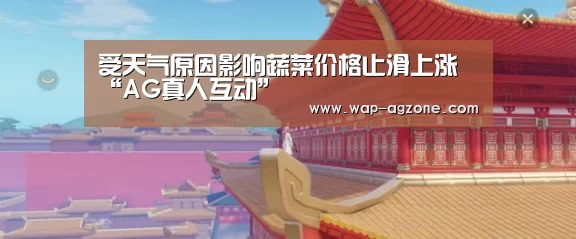 受天气原因影响蔬菜价格止滑上涨“AG真人
