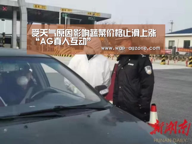 受天气原因影响蔬菜价格止滑上涨“AG真人互动”(图4) ag真人厅下载